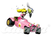 Carrera Mario Kart DS Peach Royale 1:43 scale Carrera GO!!! Slot car 61123